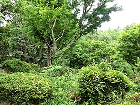 周辺環境:甘泉園公園