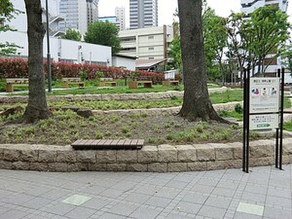 周辺を拡大表示