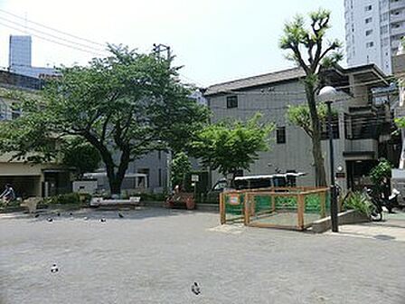 周辺環境:代々木みどり公園