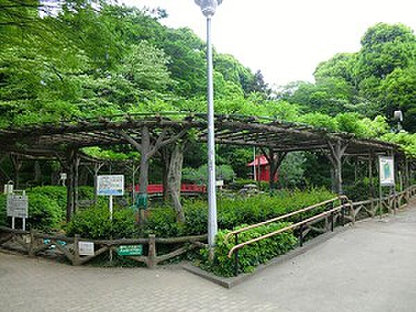 周辺を拡大表示