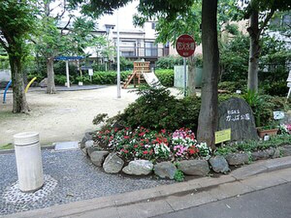 周辺を拡大表示