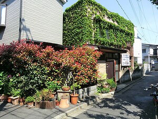 周辺を拡大表示