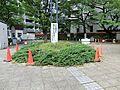 周辺環境:池袋...