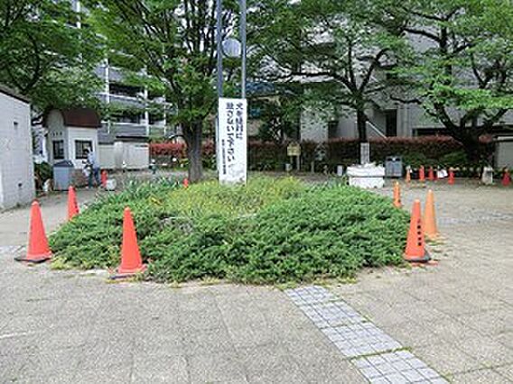 周辺環境:池袋...