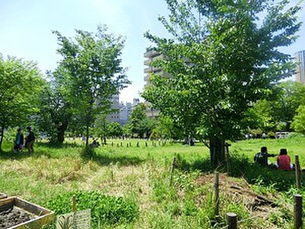 周辺を拡大表示