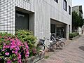 安田耳鼻咽喉科