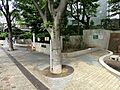 谷端川親水公園