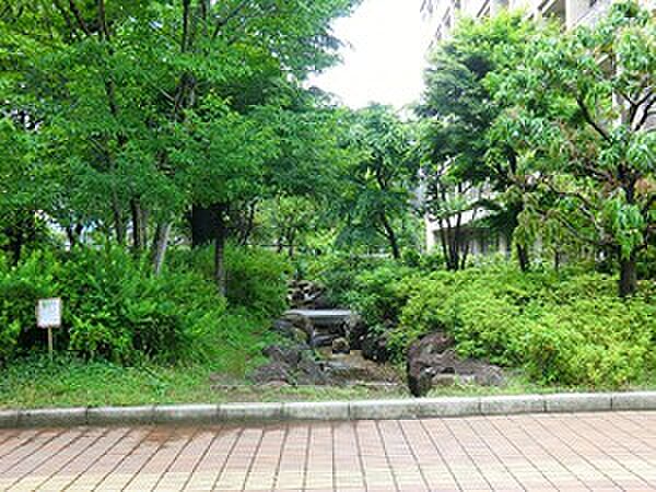 周辺を拡大表示