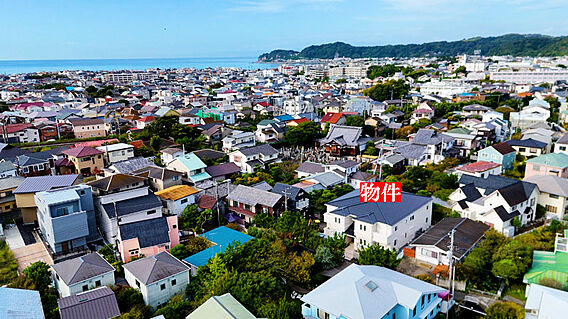 上空からの現地...