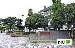 [周辺] 中学校「横浜市立本牧中学校まで333m」