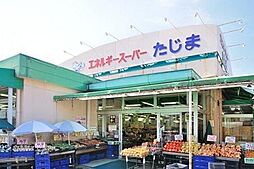 [周辺] エネルギースーパーたじま美浜店 徒歩6分。 410m