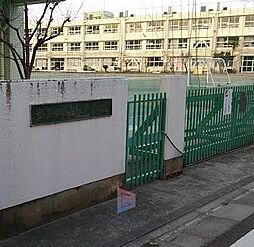 [周辺] 世田谷区立松沢中学校 徒歩12分。 920m