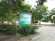 成田公園 721m
