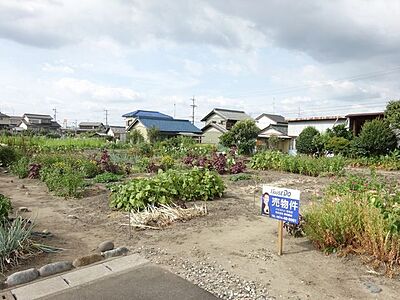 外観:現地土地写真 外観:現地土地写真