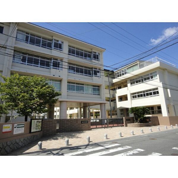 画像30:小学校「広島市立緑井小学校まで1258ｍ」