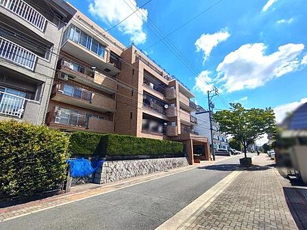 現地と前面道路