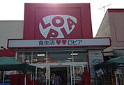 ロピア瀬谷橋戸店まで870m