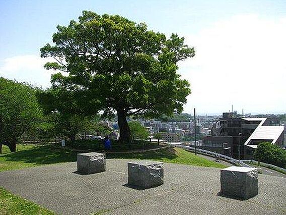 清水ケ丘公園ま...