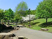岸根公園まで1337m