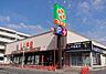 周辺：ライフ高津新作店まで995m