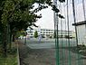 周辺：横浜市立大綱小学校まで800m
