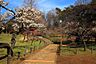 周辺：大倉山公園まで900m
