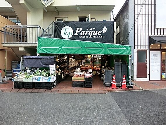 トップパルケ反...