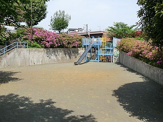 三ツ沢中公園ま...