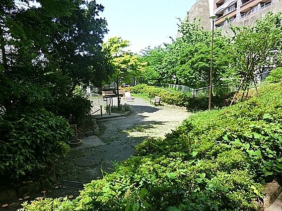 山谷公園まで8...