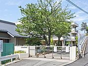 横浜市立篠原中学校まで1300m