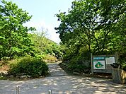 坪呑公園まで87m