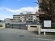 横浜市立東本郷小学校まで1000m