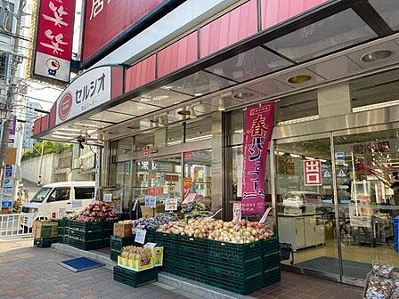 スーパーマーケットセルシオ和田町店まで210m