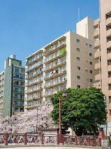 大岡川の桜並木を望む、97平米超のフルリノベーション角住戸。ペット飼育相談可能です（細則有）。2路線3駅が徒歩9分圏内の利便性が魅力の立地です。