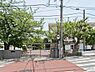 周辺：横浜市立白幡小学校まで1000m