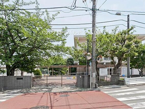 横浜市立白幡小...