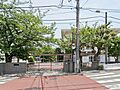 横浜市立白幡小...