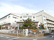 市川市立幸小学校まで384m