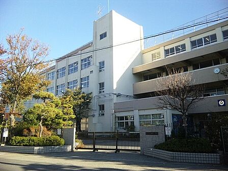 市川市立富美浜小学校まで329m