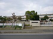 水戸市立寿小学校まで1586m