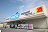 周辺：ウエルシア日立金沢店まで895m