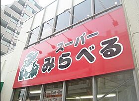 アリエ花水木 205 ｜ 埼玉県さいたま市浦和区神明１丁目27-18（賃貸マンション1R・2階・30.11㎡） その26