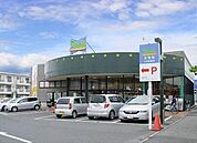 トウズJR佐倉店まで845m