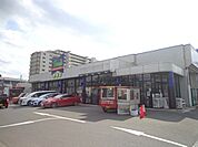 トウズ　京成佐倉店まで906m