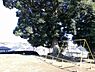 周辺：しいのき公園まで569m