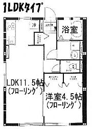 キャピタルコート 1LDKの間取図画像
