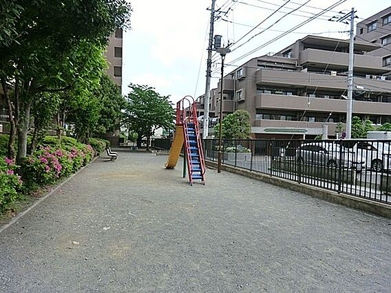 下小田中つばき...