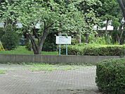 鋼管通五丁目緑地まで291m