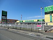 フードワン綾瀬店まで1205m