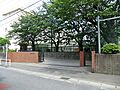 藤沢市立新林小...